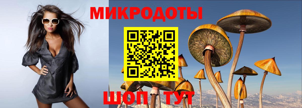 Псилоцибиновые грибы мицелий Сунжа