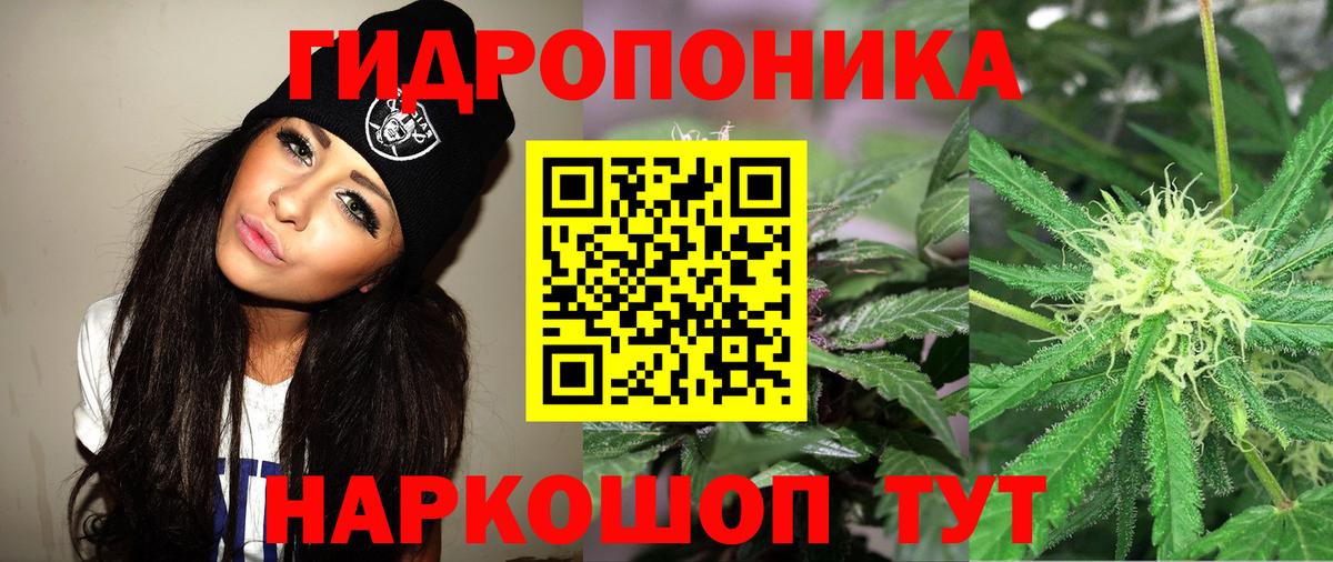 Конопля White Widow  Каннабис ГИДРОПОН  Вход с VPN  Сунжа  Бошки Шишки VHQ  МАРИХУАНА Amnesia 